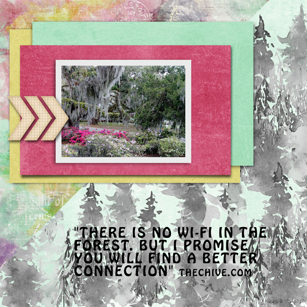 Day 16 - Inspiration From Quotes_forest