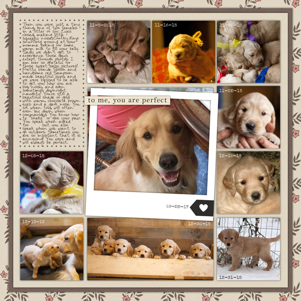 Day 31- January 31: Then + Now (the last day!!)