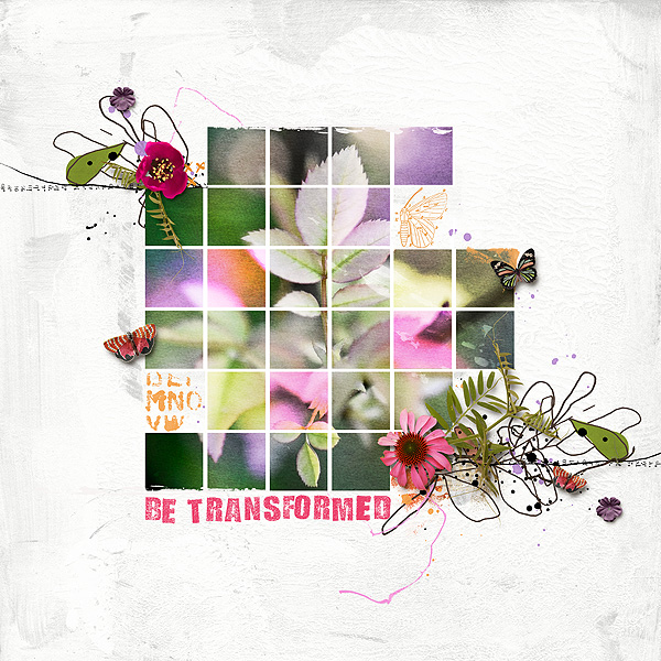 Day 5 - Be Transformed
