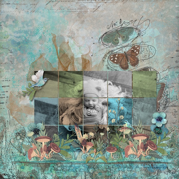 DAY 5 Grid Photo