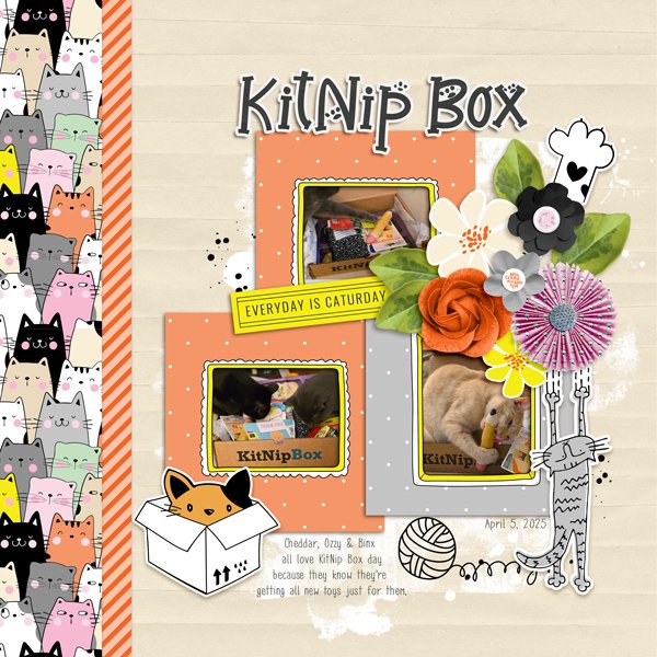 Day 5 - Recipe Challenge KitNip Box.jpg