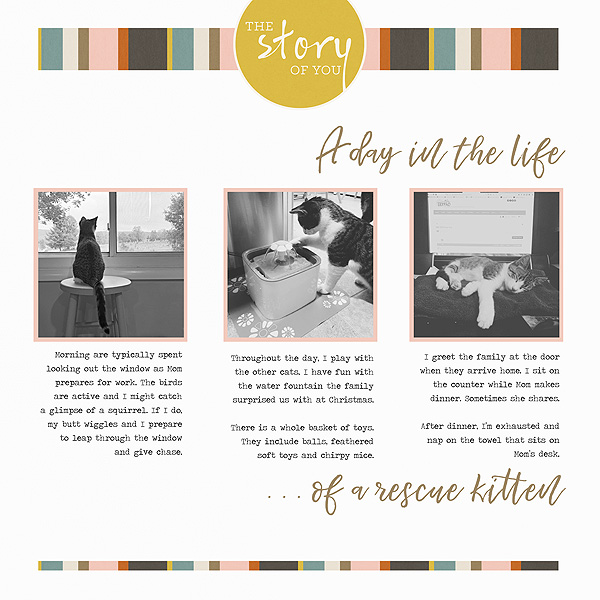 Day 7 -The Story Of You