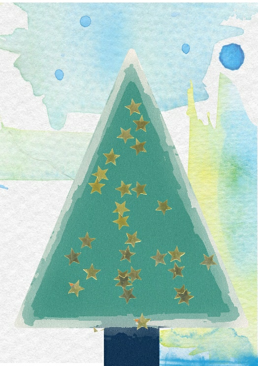 day 7