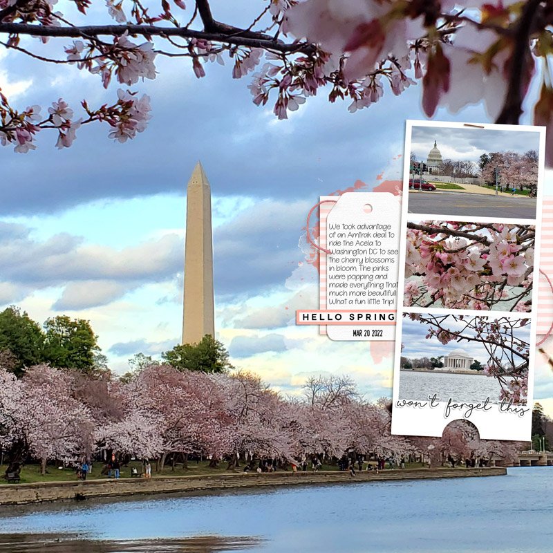 Day Trip to DC