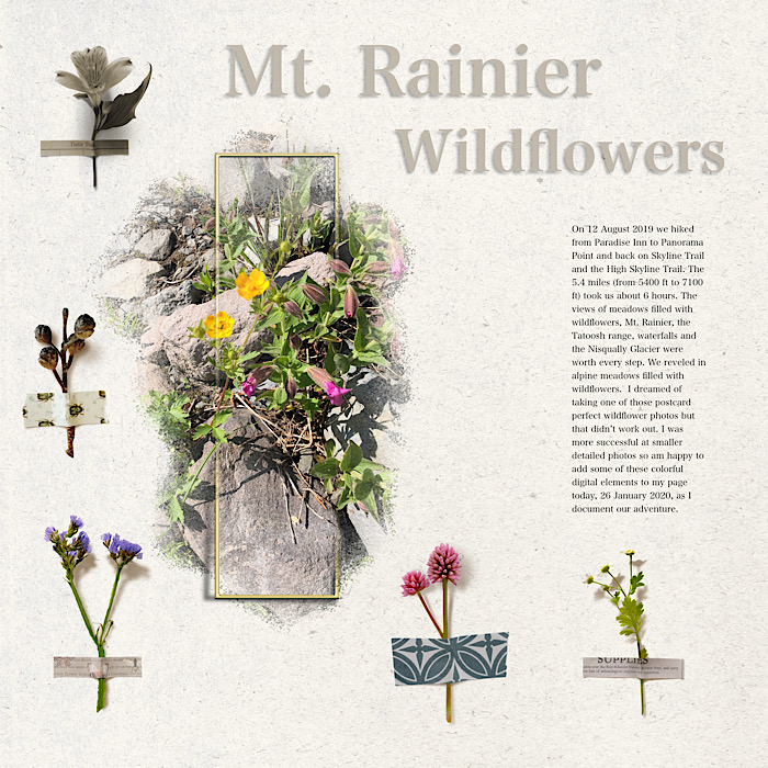 Day21 Organic Botanicals: Mt. Rainier Wildflowers