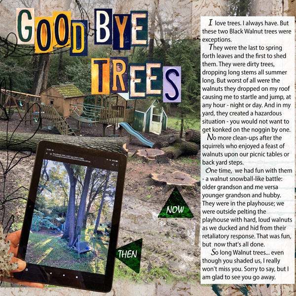 Day_2_GoodByeTrees