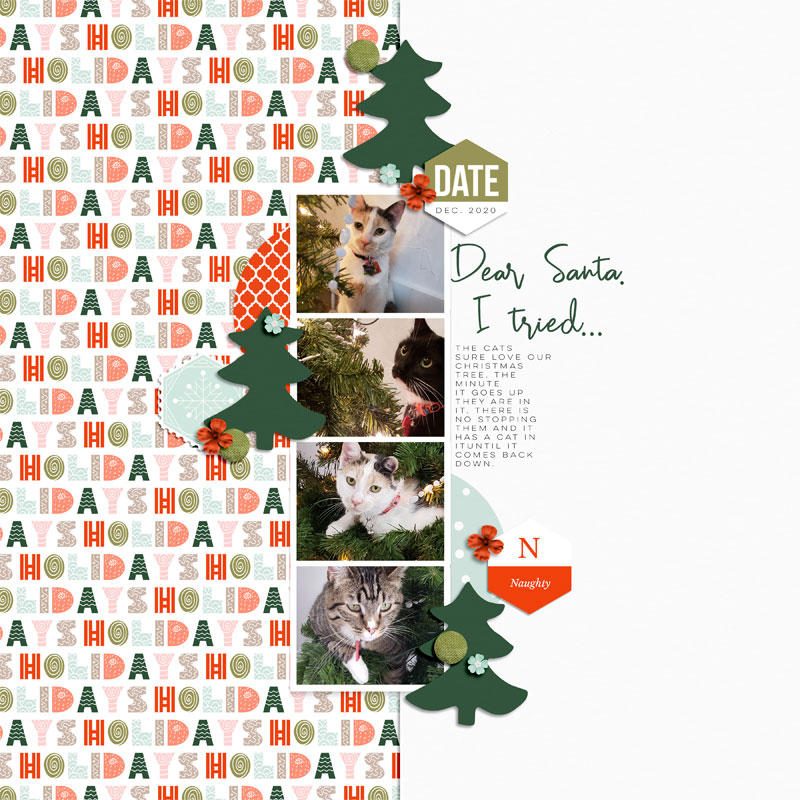 Dear Santa, I Tried...