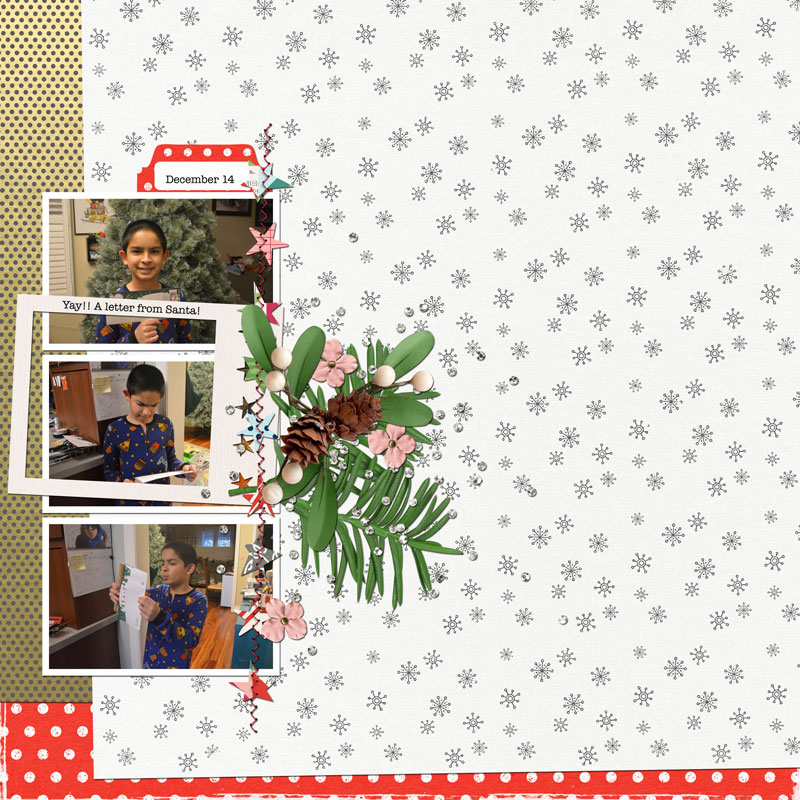 Dec-2024-TLP-monthly-Inspiration