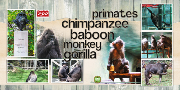 December 2017 Style Challenge - Primates