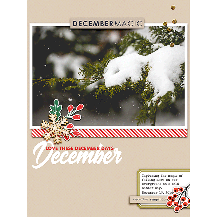 December Magic | DYD