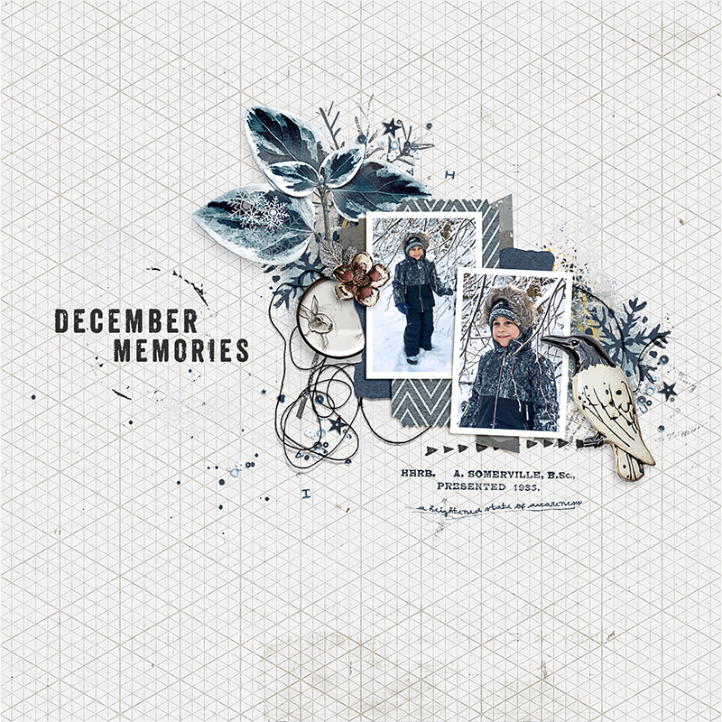 December Memories