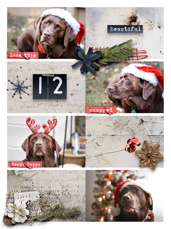December Photoshoot
