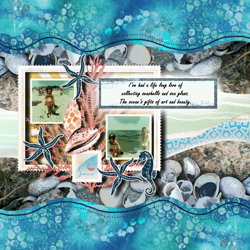 Deep Dive Beach Seashell Collecter