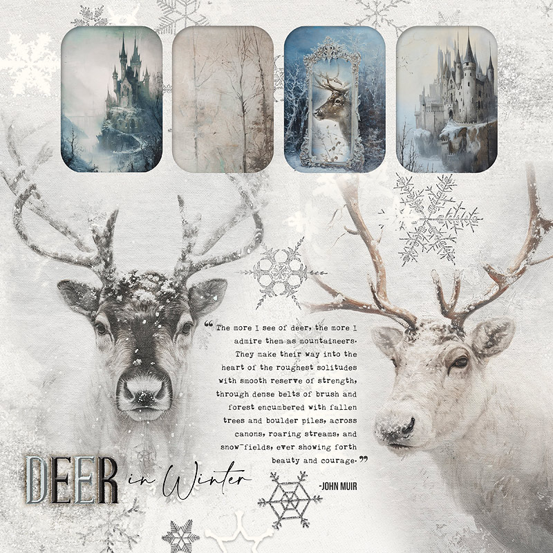 Deer in Winter