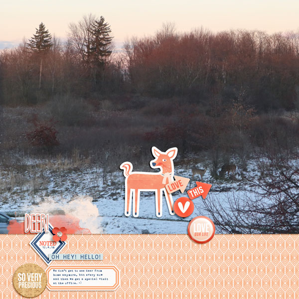 Deer! Noted