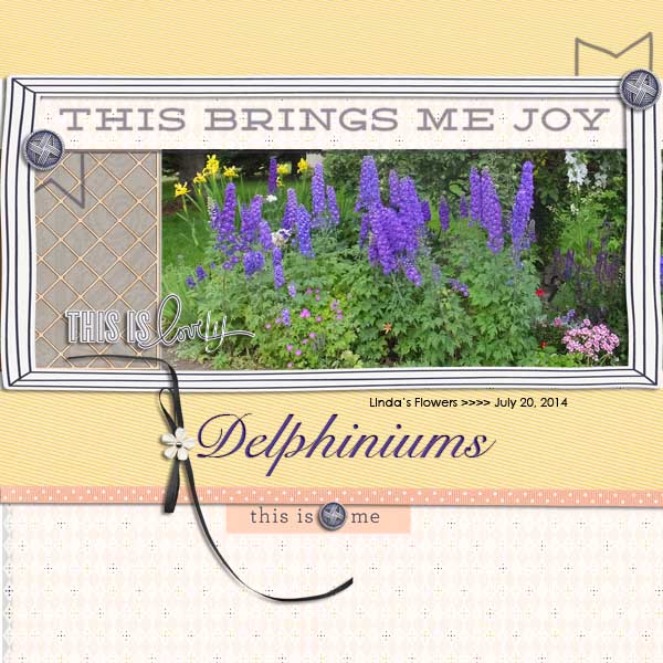Delphiniams