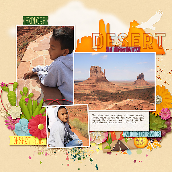 Desert The Best View