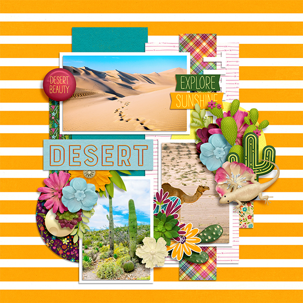 Desert