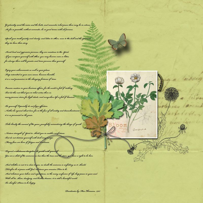 Desiderata