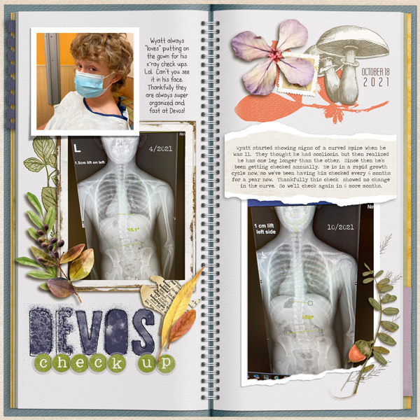 Devos Check Up