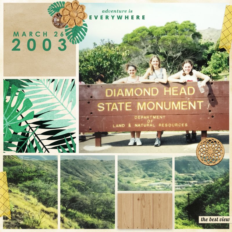 Diamond Head (Apr19 Sahlin)