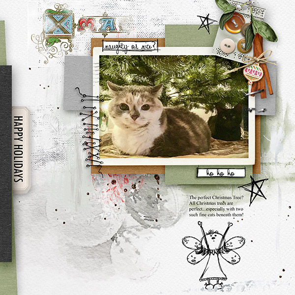 Dinskip_DEC2016_challenge_ Trees and Cats