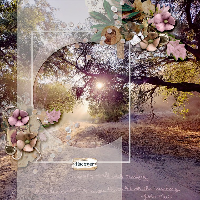Discover