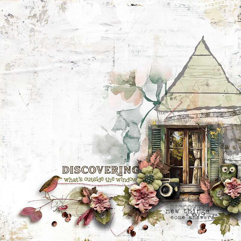 Discovering
