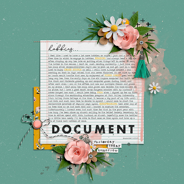 Document Hobbies
