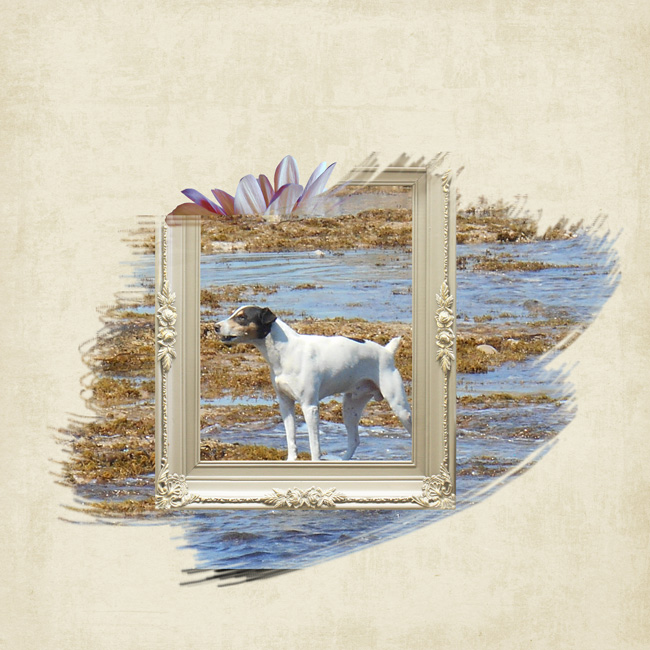 Dog-beach-painted-mask