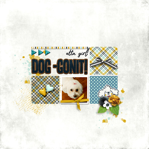 Dog Gonit