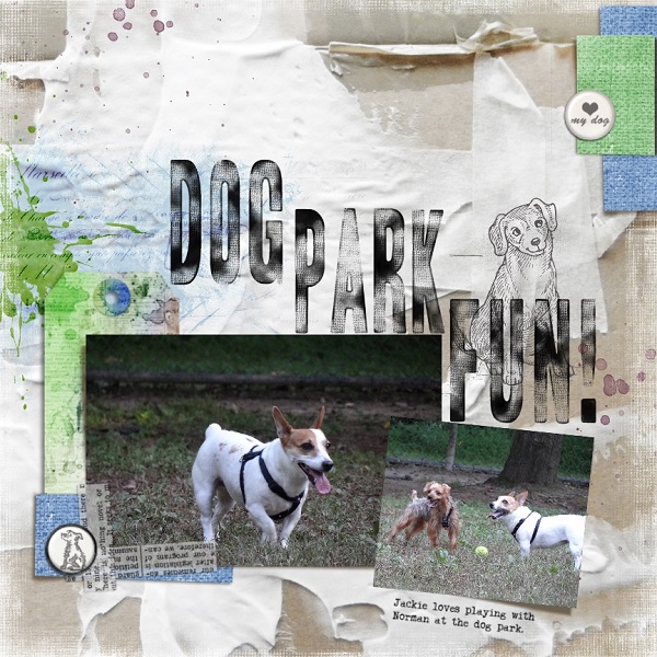 Dog Park Fun
