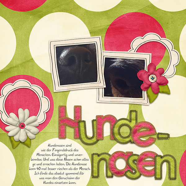 Dogs Noses
