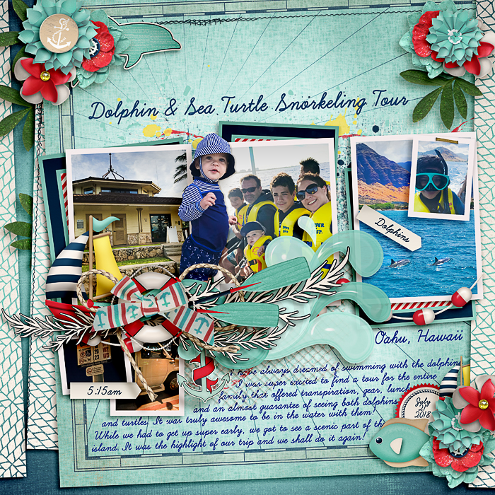 Dolphin Tour