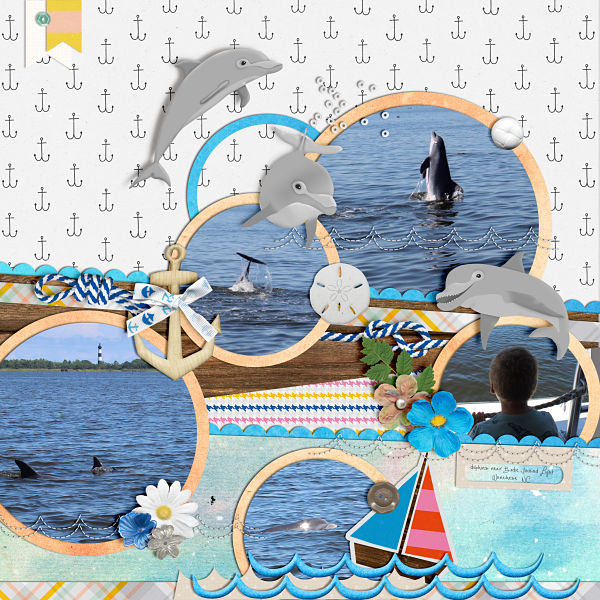 Dolphins!