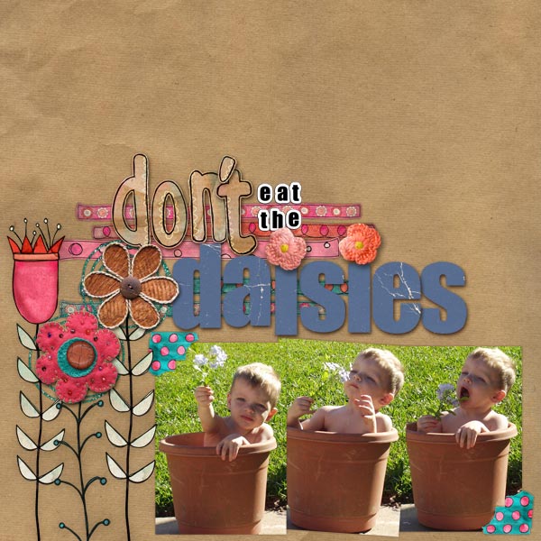 Don't Eat the Daisies!
