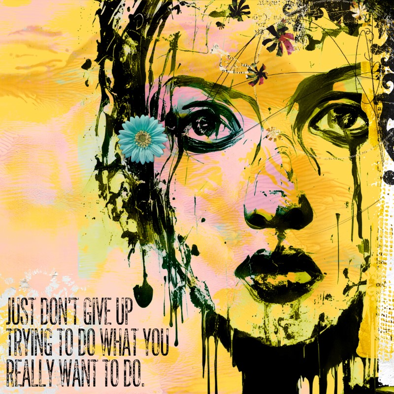 Don't Give Up