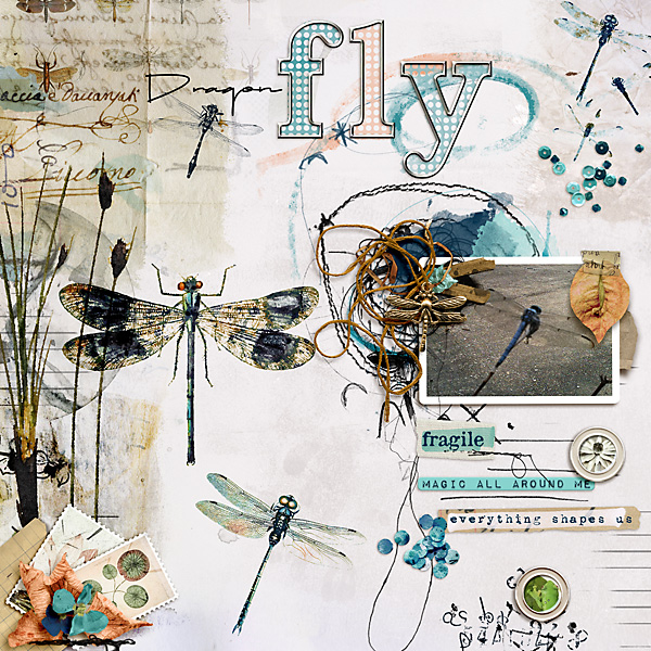 Dragon Fly