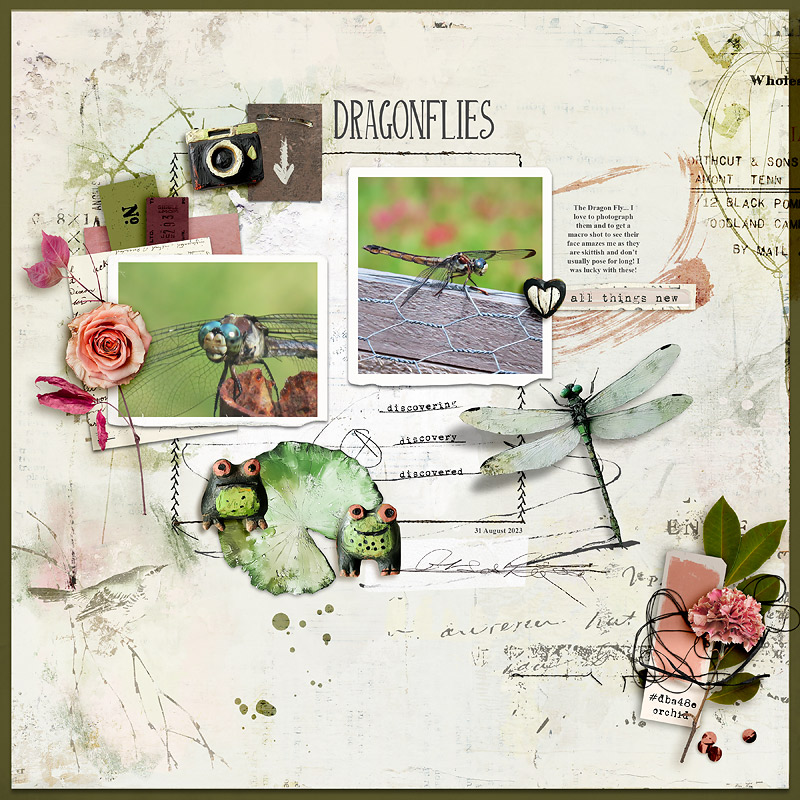 Dragonflies