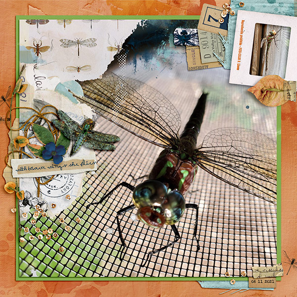 dragonfly