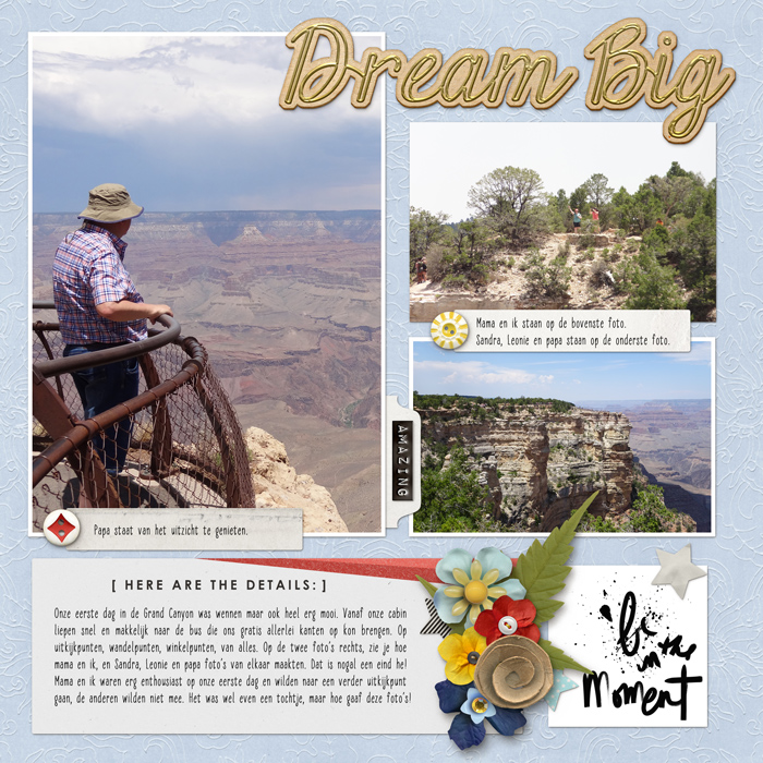Dream Big 2 - MOC5 Day 14