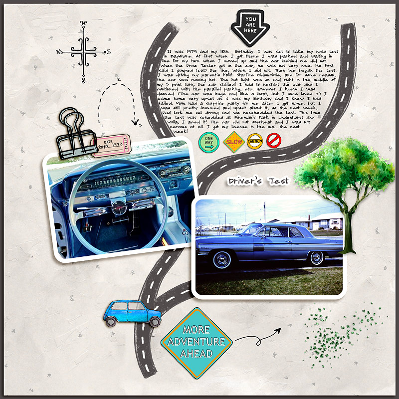Driver's Test