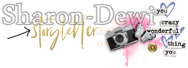 DSD 2019 Siggy