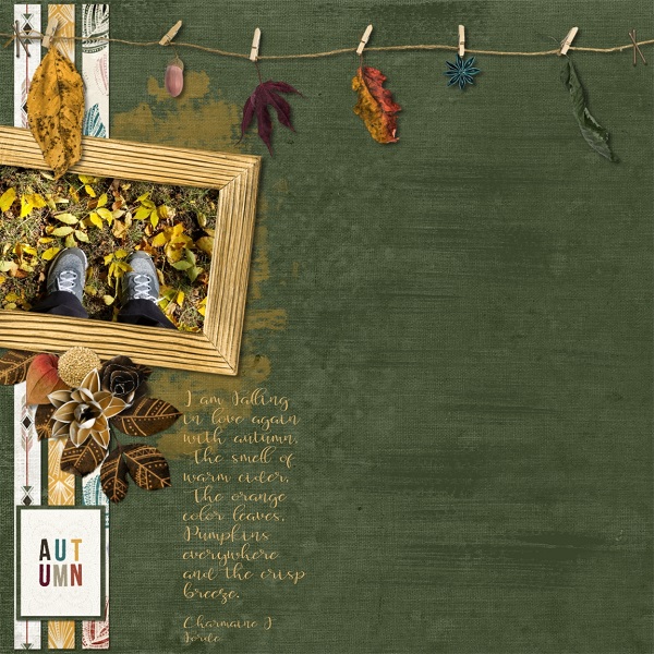 DSD - Autumn