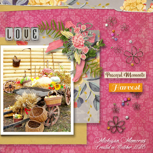 DSD Quick Slow Scrap with Cynthia