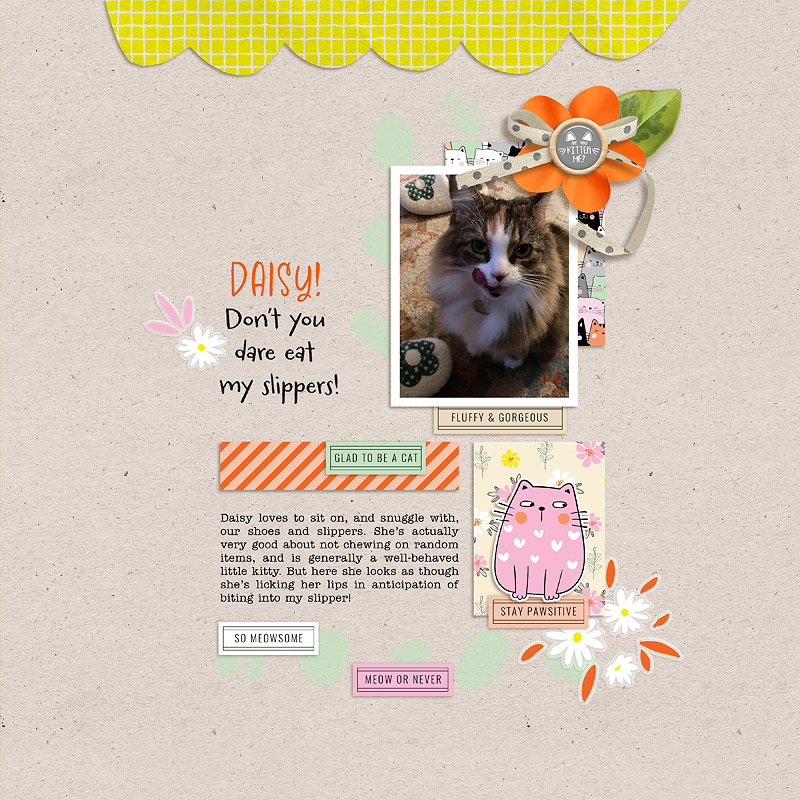 DSD24 Bingo Challenge: Daisy!