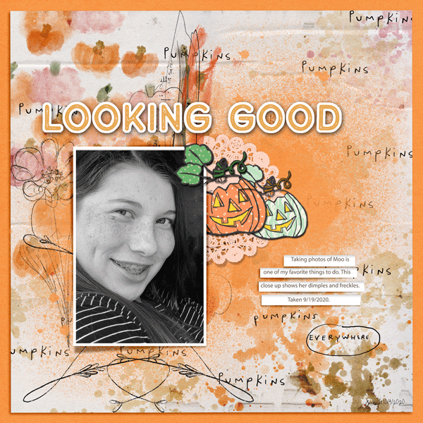 DSD_slow-scrap-10-4_looking-good