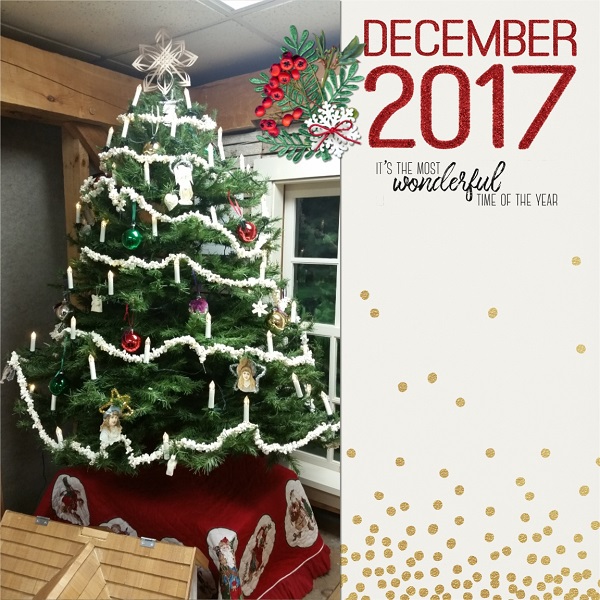 DYD 2017 Cover