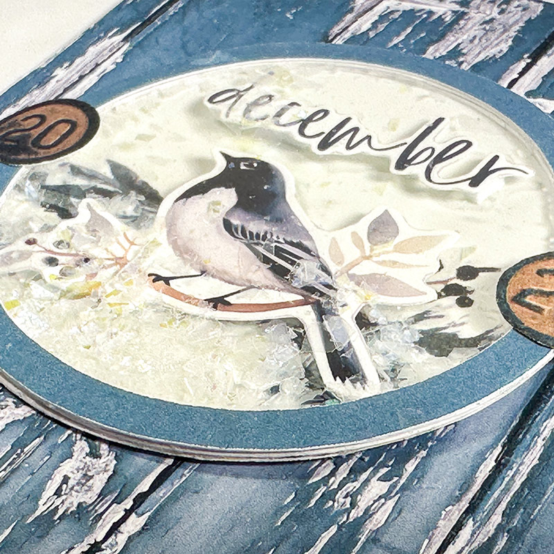 DYD 2023 Album Cover  (close up)