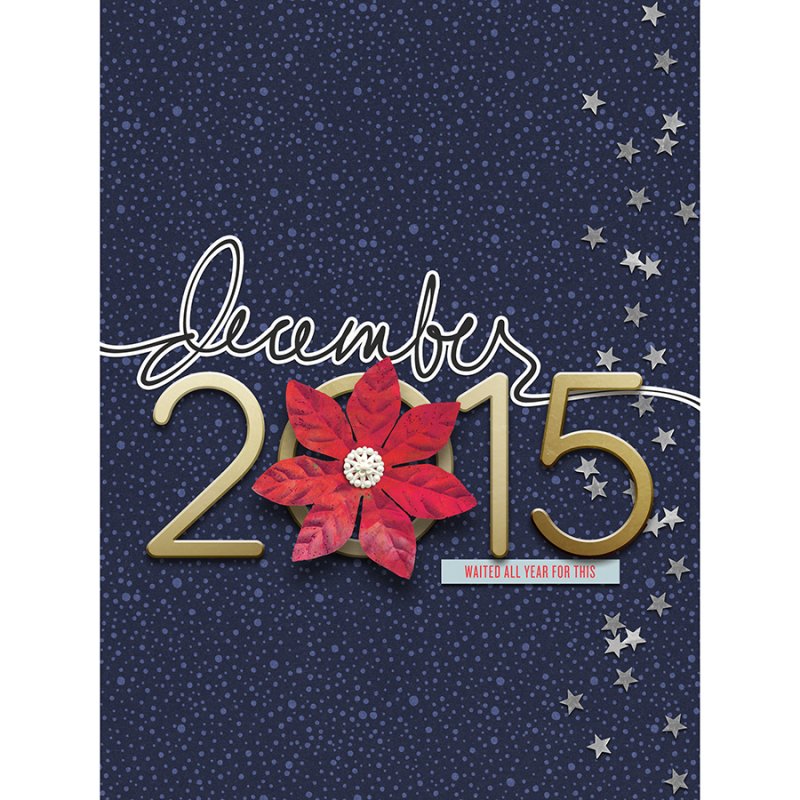DYD2015-COVER
